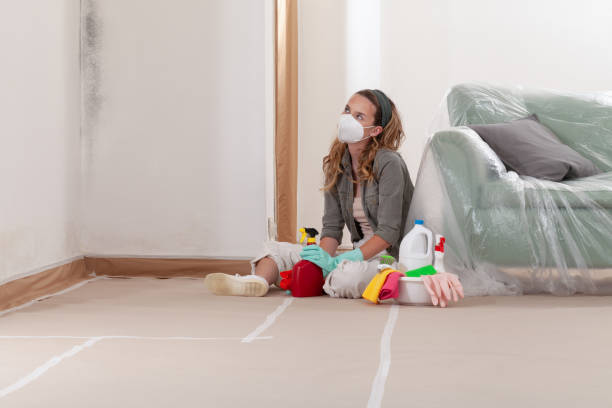 Reliable Mold Inspection And Testing contractor in Roanoke, TX by Car Mold Remediation